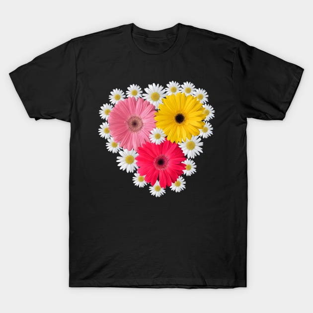 gerbera daisies in bloom daisy flower blossoms T-Shirt by rh_naturestyles